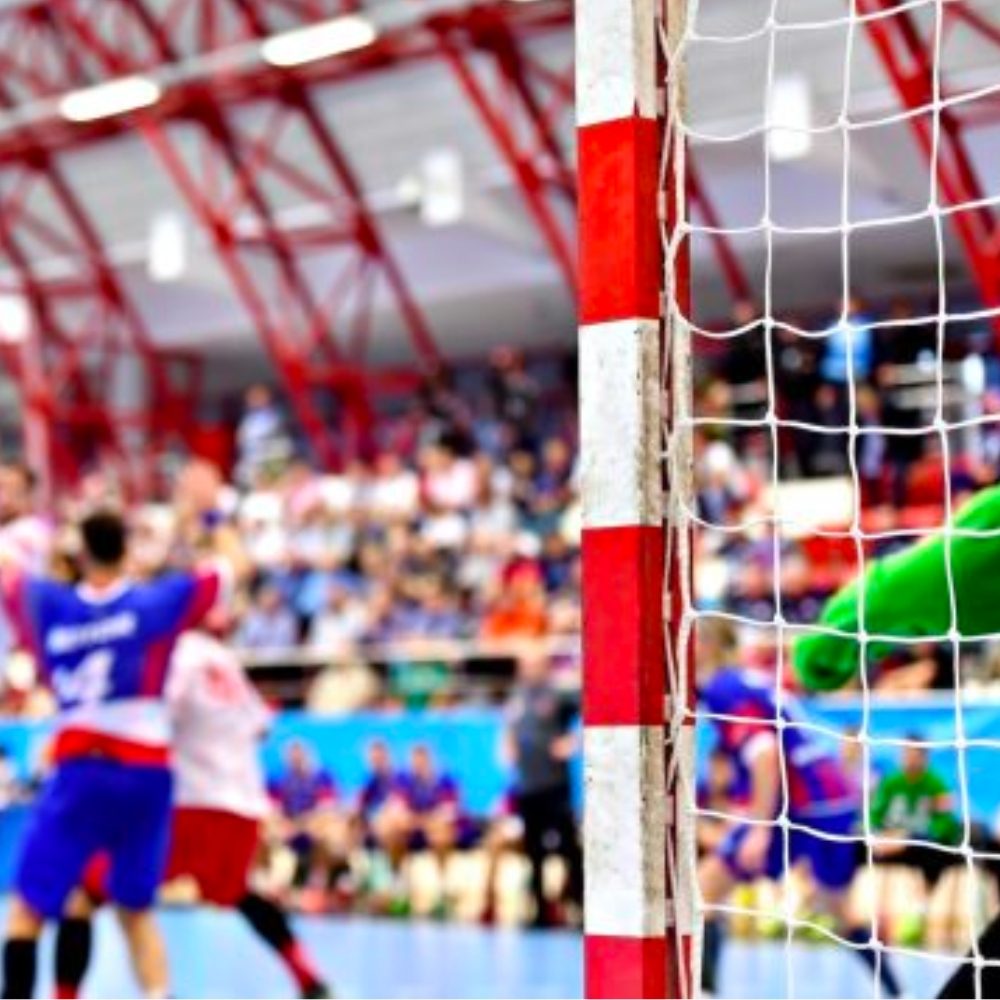 Plase Porți Handbal