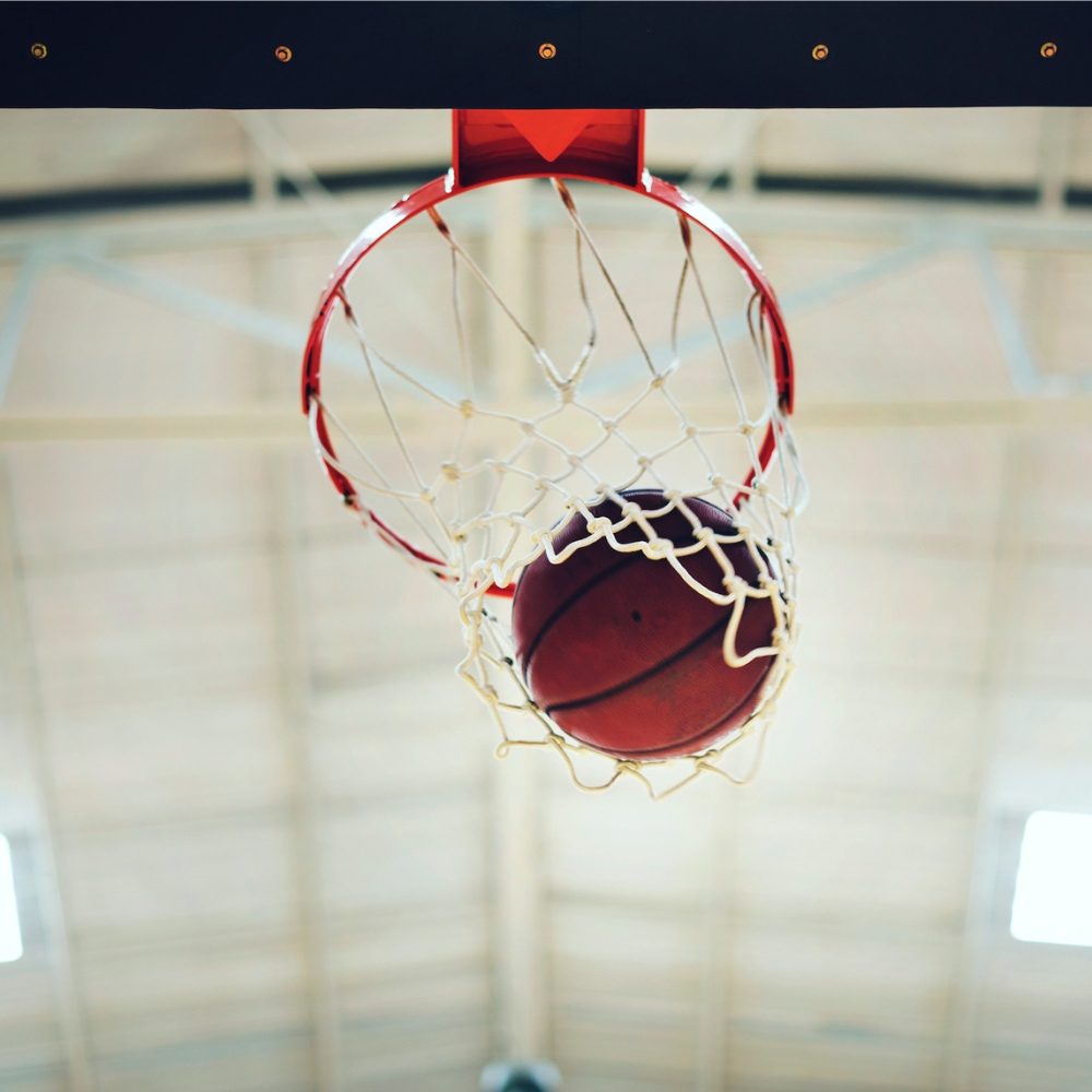 Inele baschet Arena Systems