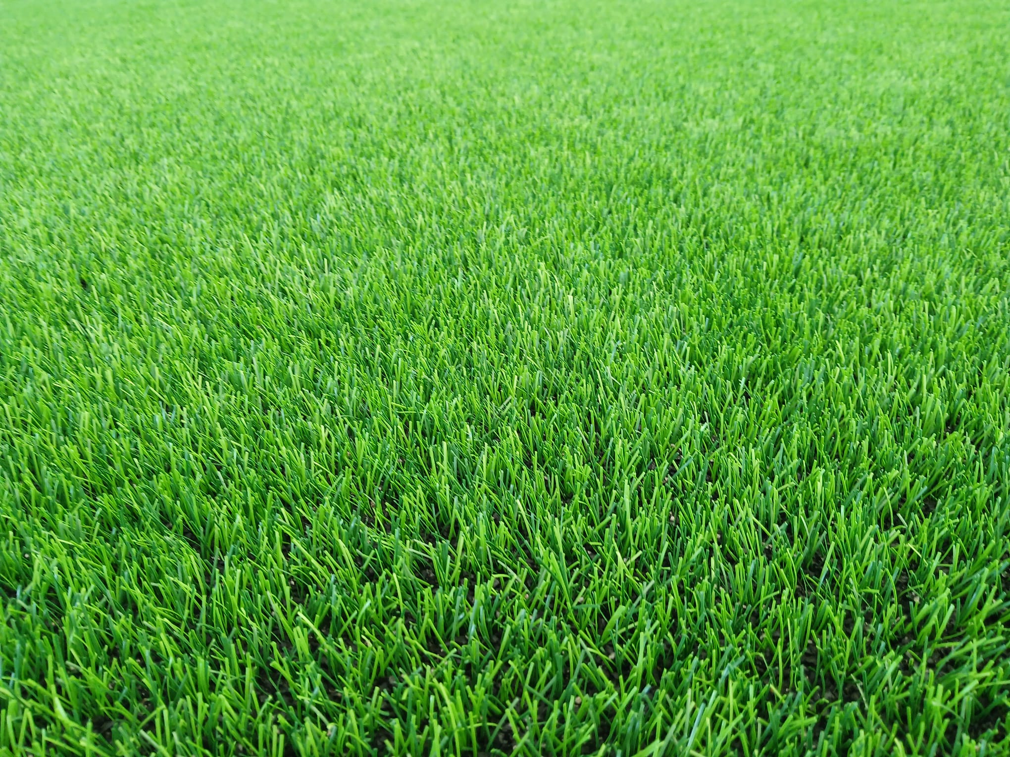 Gazon Sintetic Fotbal